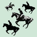 Rider on a horse galloping at a reduced gallop Royalty Free Stock Photo